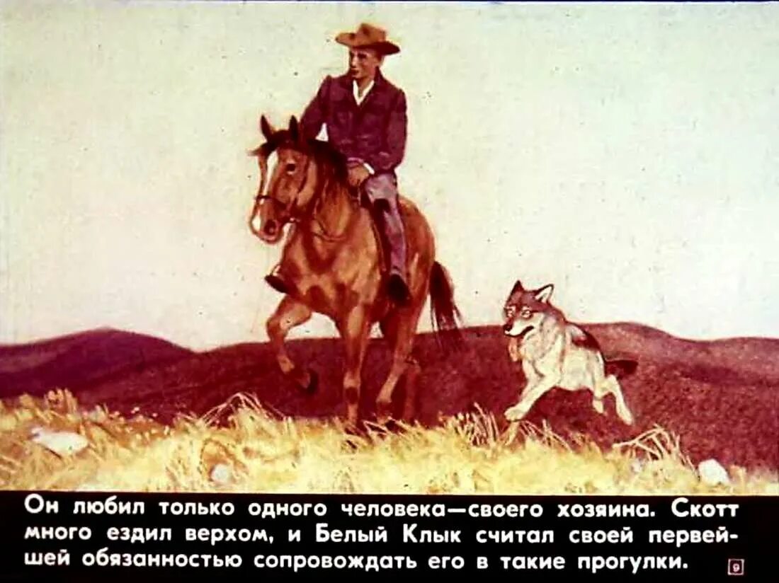 Белый клык режим работы. Белый клык кадры из диафильма. Белый клык режим работы. Книга белый клык (лондон джек). Белый клык режим работы.