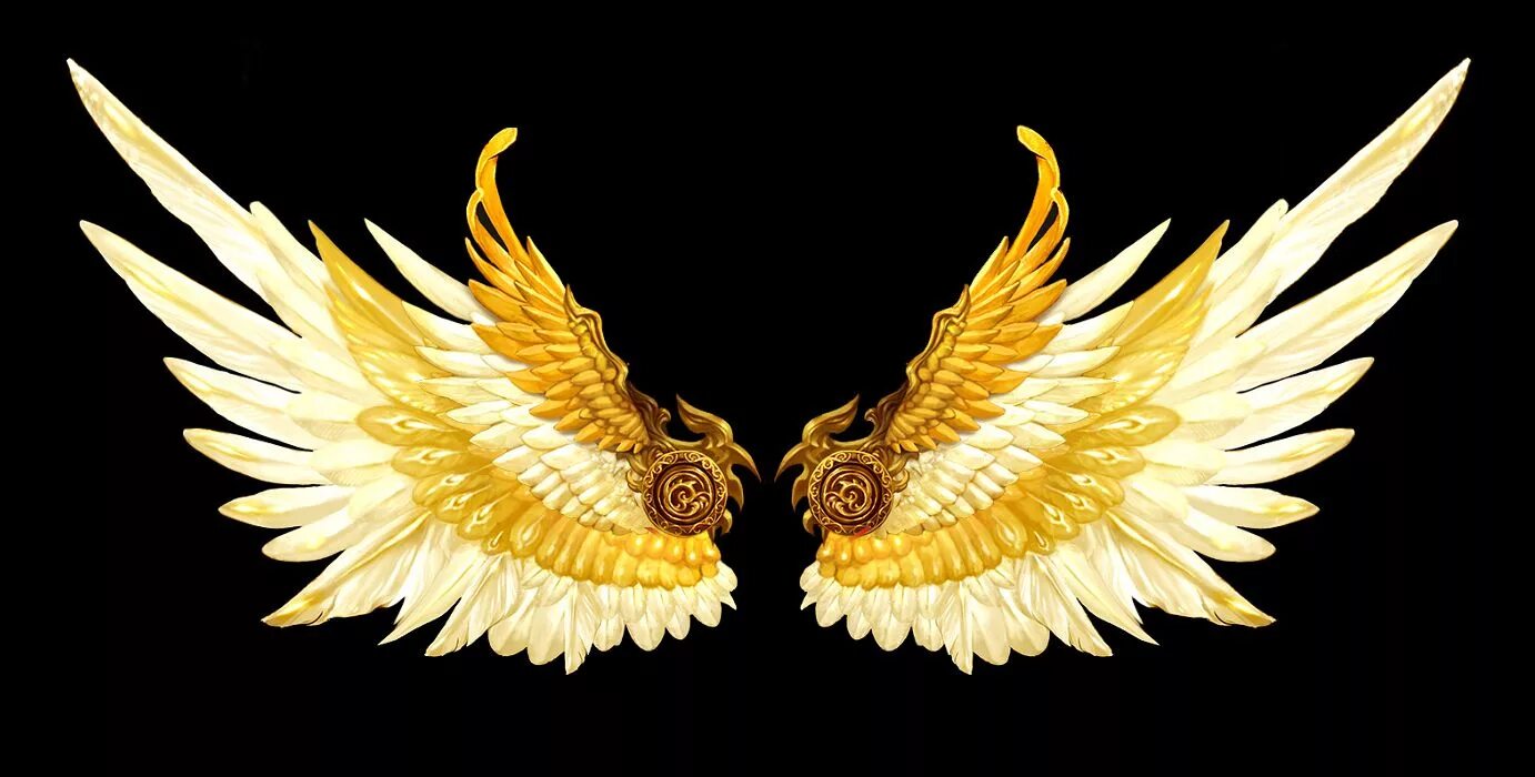 Золотистые крылья. Золотые Крылья. Золотые Крылья на белом фоне. Крылья без фона. Ангельские Крылья.