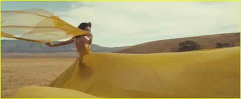 Wildest dreams taylor