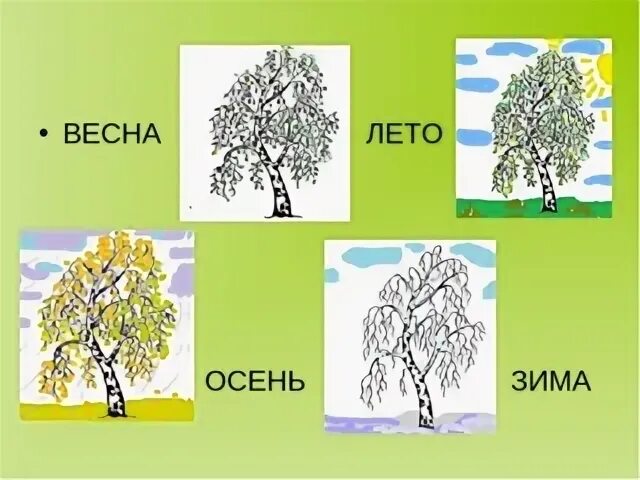 Весной береза окружающий мир 2 класс
