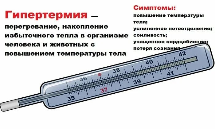 Температура тела. Повышение температуры тела. Гипертермия. Гипертермия гипертермия. После сильной температуры