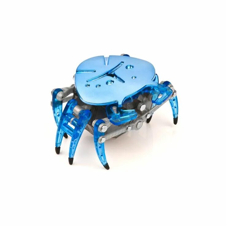 Жук краб. Нано Hexbug краб. Нано Hexbug паук. Hexbug Nano космос. Hexbug гусеница.