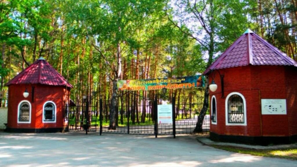 Лесная сказка липецкая. Лесная сказка липецкая. Лагерь лесная сказка липецк. Деревня сухоборье липецкой области. Лесная сказка липецкая.