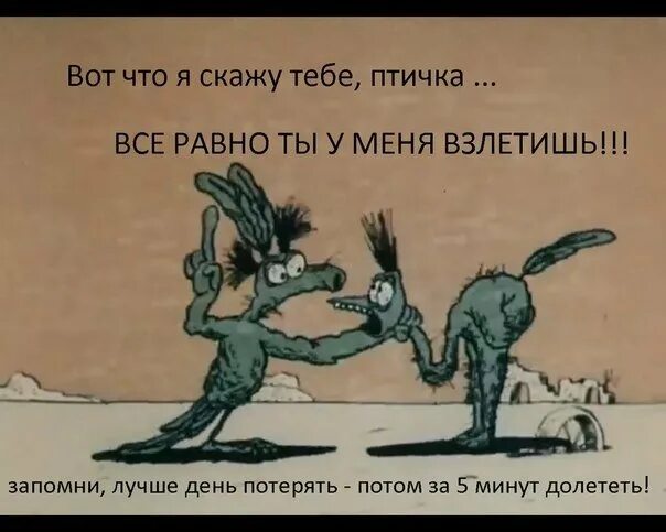 Главное хвост. Крылья ноги и хвосты. Ноги Крылья главное хвост. Птичка главное хвост.