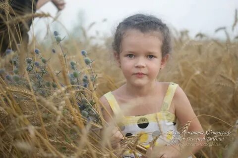 Песня я фотограф