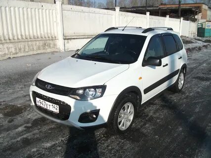 Калина кросс белый