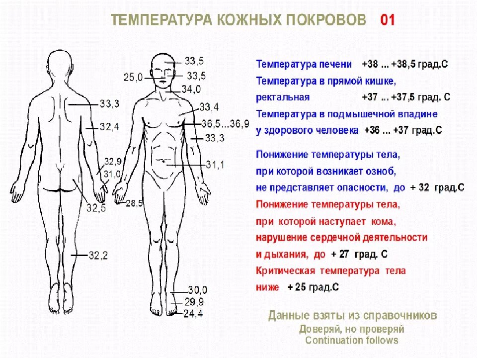 Границы температуры тела человека. Температура в разных частях тела человека. Температура тела человека и его частей.. Распределение температуры тела человека. Температура вашего тела