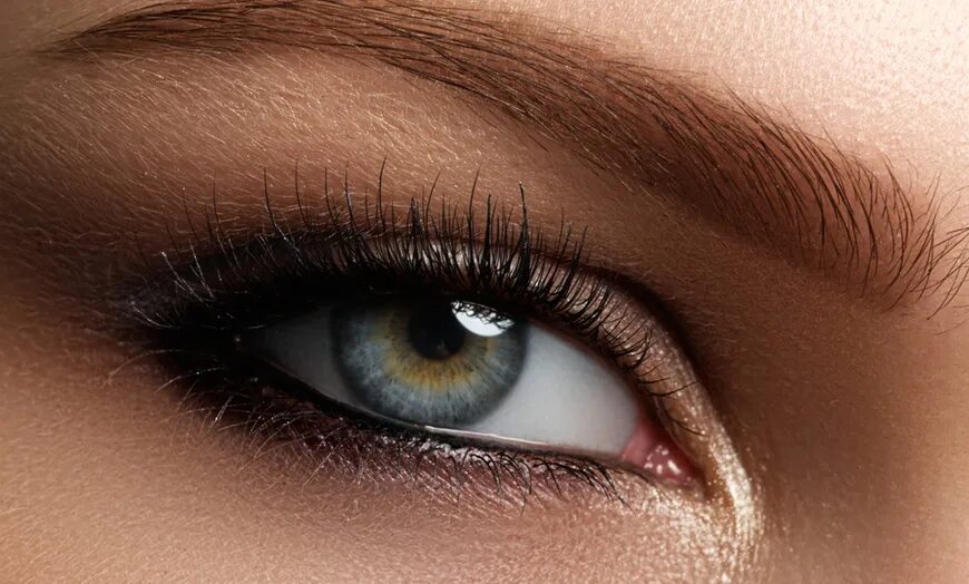 Le yeux