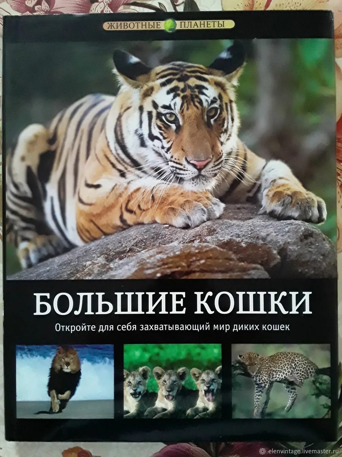 Планета животных книги. Детская энциклопедия "большие кошки" Росмэн. Большие кошки книга. Энциклопедия большие кошки. Книги про больших кошек.