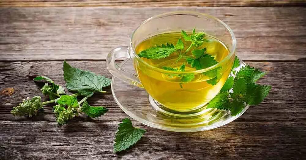 Мята трава чай. Чай с мелиссой. Зеленый чай с мелиссой.