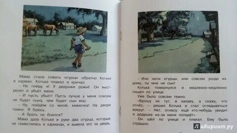 Вопросы к рассказу огурцы