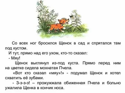 Брат сел под кустом разобрав удочки