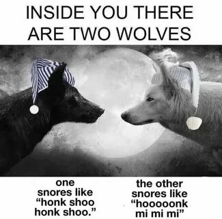Two of them are