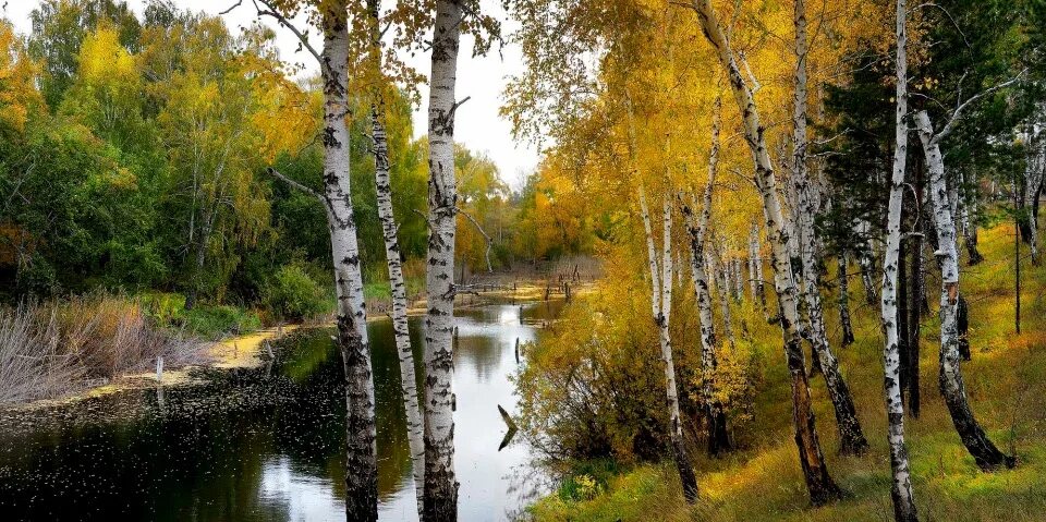 Родной край курган. Природа кургана и курганской проект. Природа города кургана. Зауралье курганская область. Пейзажи самарской луки.
