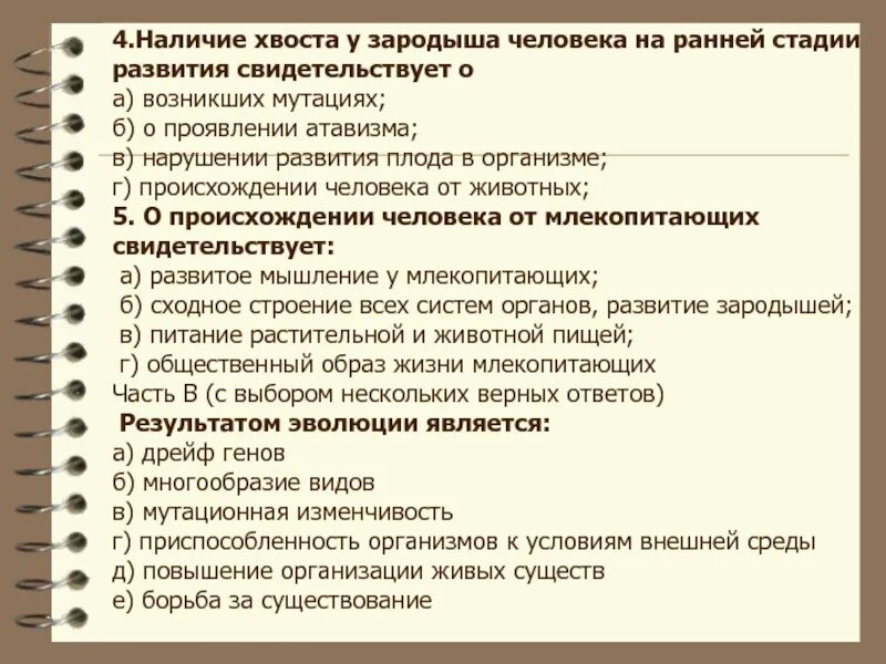 Наличие хвоста у зародыша человека на ранней. Наличие хвоста у зародыша человека. Наличие хвоста у зародыша человека на ранней стадии. Формирование хвоста у зародыша человека.