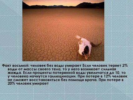 Давать воду покойнику