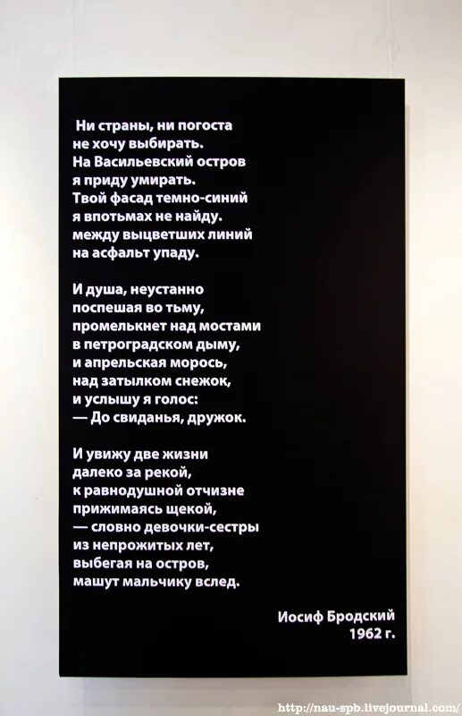 Анализ стихотворения ни страны ни погоста. Ни страны ни погоста. Иосиф Бродский ни страны ни погоста. Ни страны ни погоста стих. Бротский не страны ни погаста.