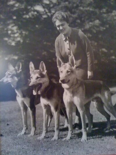 Харрисон фишер художник. Dorothy harris. Дороти гаррисон. Дороти харрис водитель. Харрисон фишер винтаж леди.