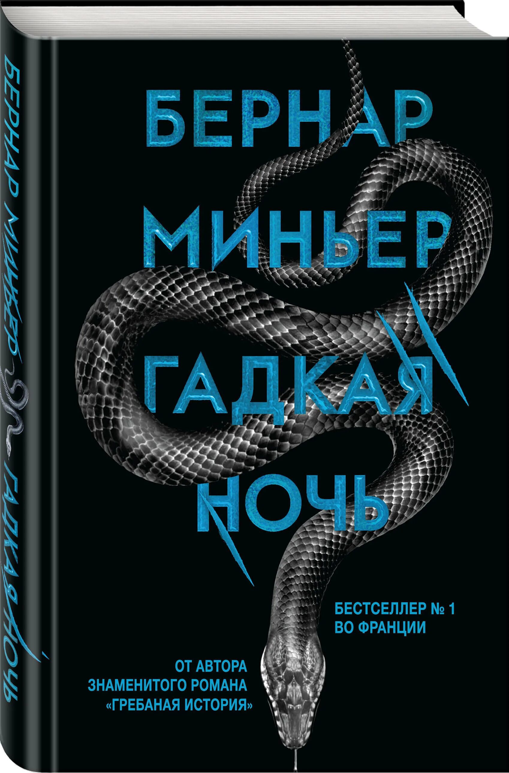 Гнусных книга. Бернанд Миньер гадкая ночь книги.