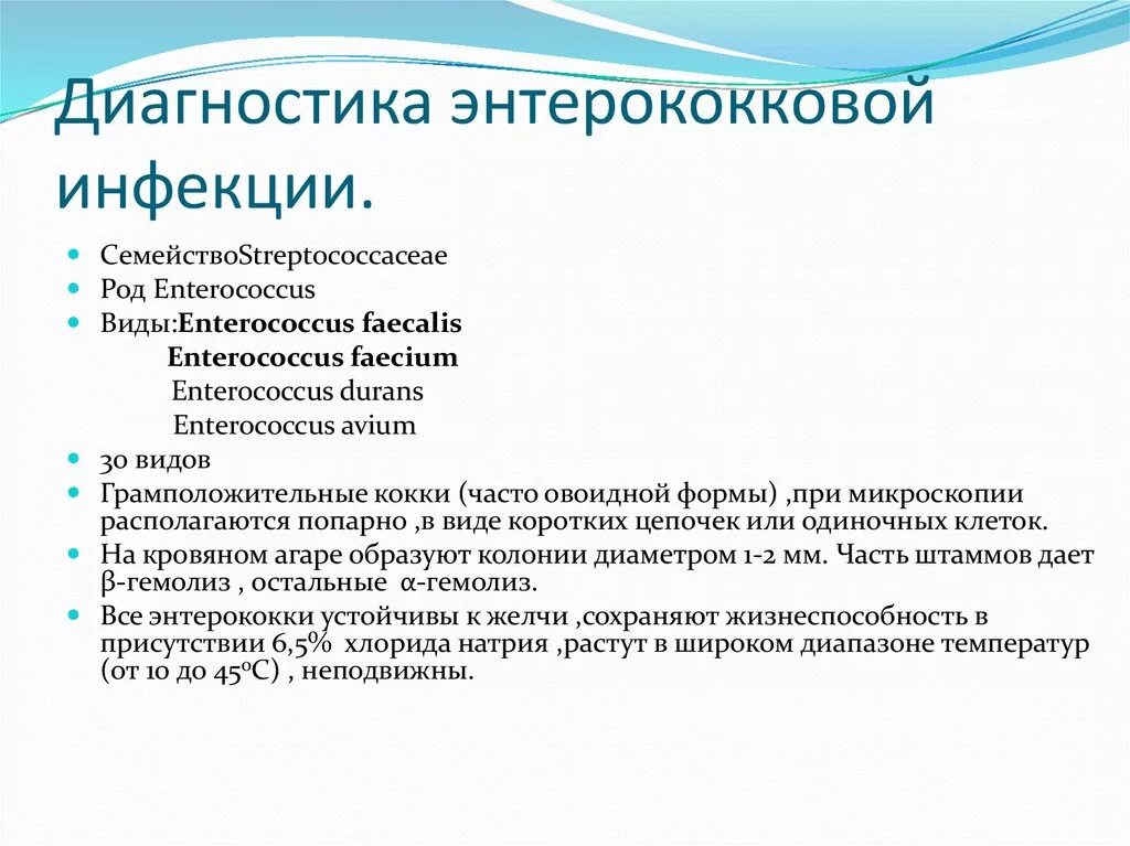 Enterococcus faecalis лечение