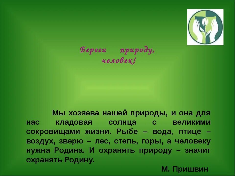 Экологический рассказ о природе. Берегите природу сочинение. Берегите природу доклад. Доклад о природе. Сочинение на тему береги природу.