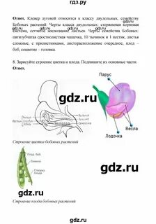 Биология 6 класс страница 16 номер 8