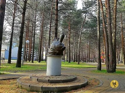 Парк за саймой