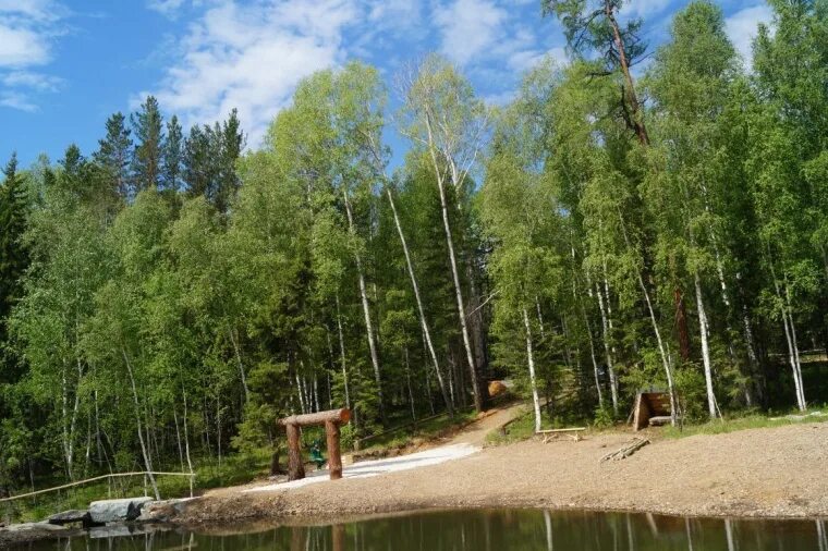 Яр лес. Белый яр ульяновская область лес. Парк отдыха в лесу. Лес чудес светлый яр. Галаустенский тракт осень.