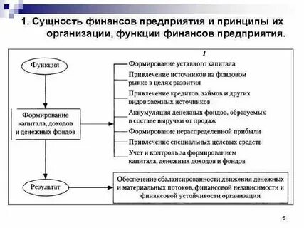 Принципы и роль финансов