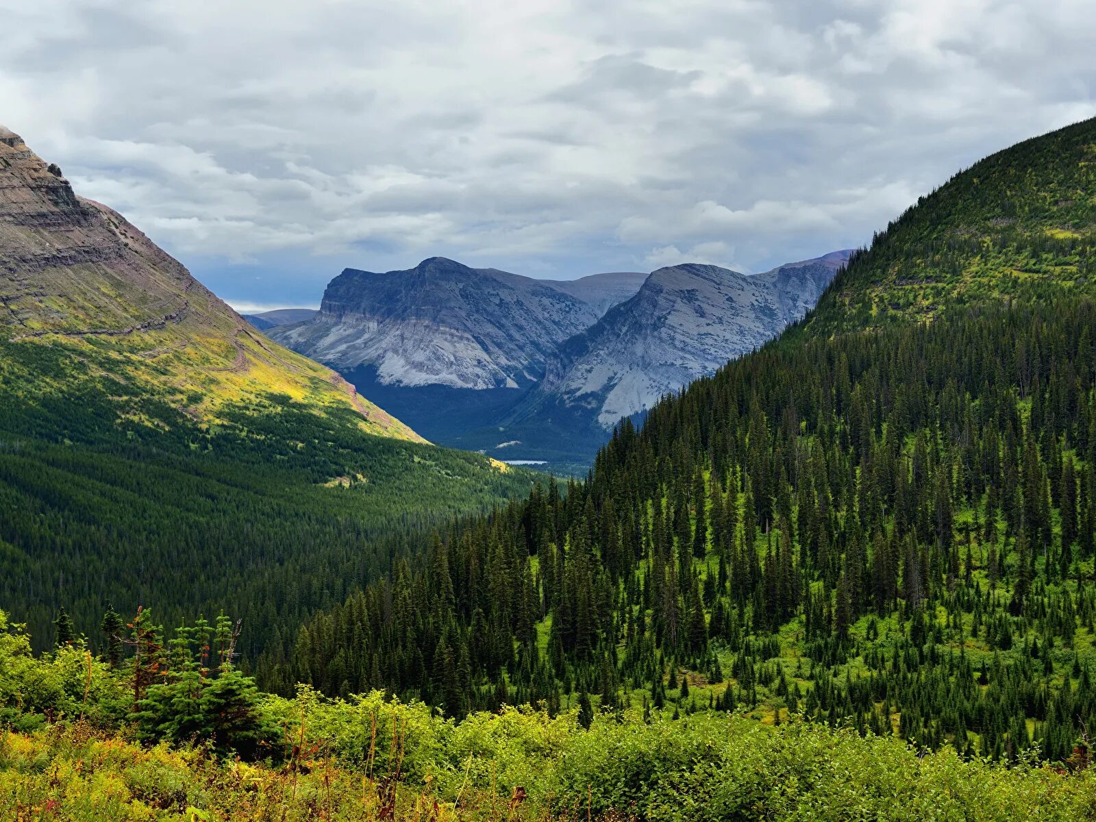 Швейцария альпы 3840 2160. Дикая лесистая местность горы перспектива. Национальный парк йосемити, сша зима. Горх. Сизые горы.