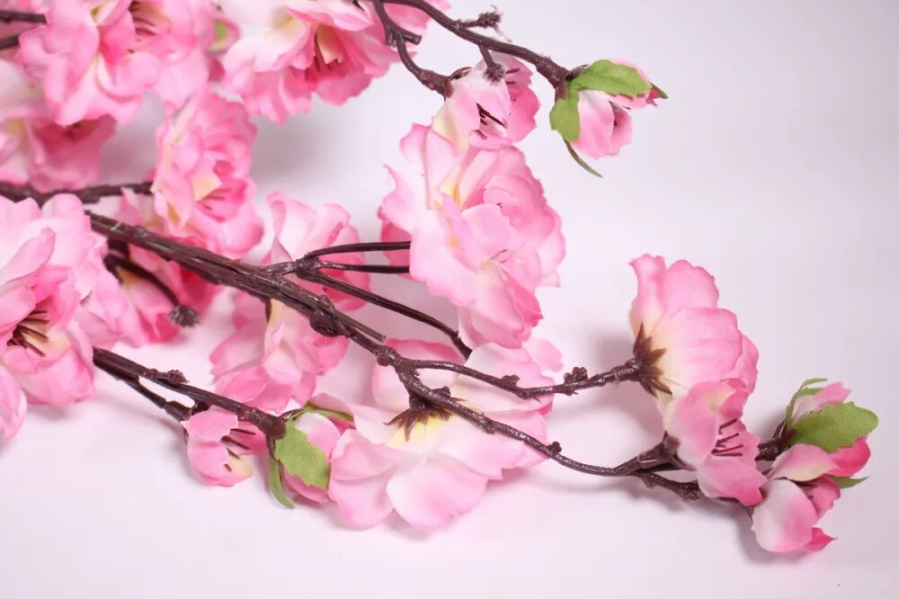 Веточка Сакуры. Тайцзи цветы Сакура. C8041 Сакура. Искусственные цветущие ветки.