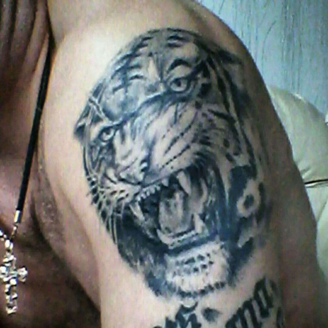 Тату льва зоновские. Тюремные наколки оскал. Тигр оскал тату. Тату льва на плече мужские. Тату тигр зоновские.