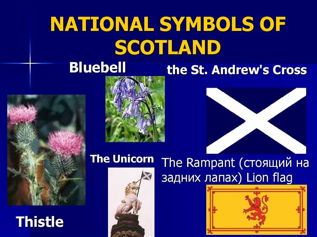Чертополох символ Шотландии. Символ Шотландии. Национальный символ Шотландии. Неофициальные символы Шотландии.