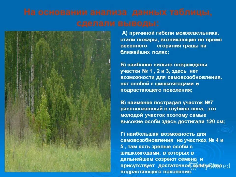 Выучить статьи. Выводы на основании полученных данных. Методы вывода. Произведения пришвина о родине. Пришвин моя родина жанр.