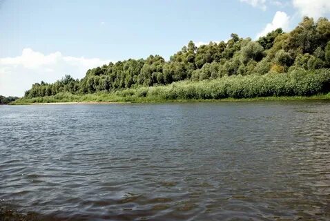 Устье реки сейм