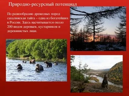 Ресурсы сахалина