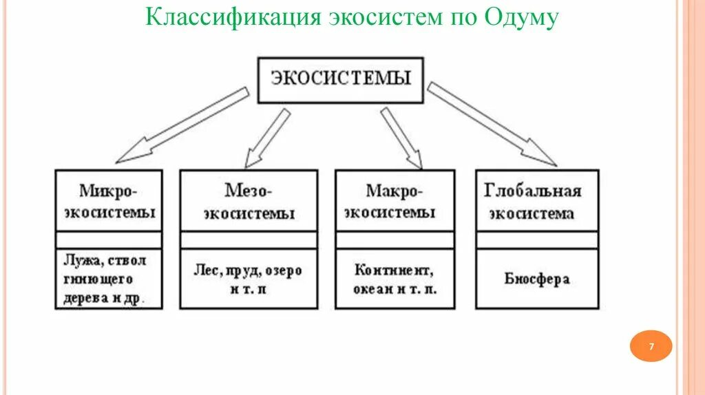 Природные экосистемы 11 класс. Классификация экосистем схема. Классификация наземных биогеоценозов. Классификация экосистем по размерам. Экологические системы и их классификация.