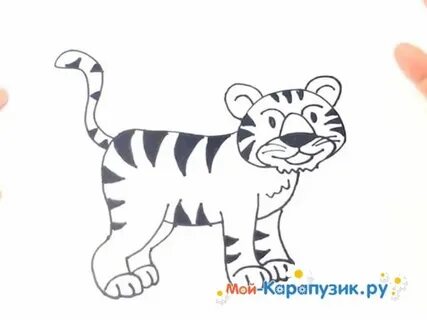 Нарисовать тигра легко и просто для детей
