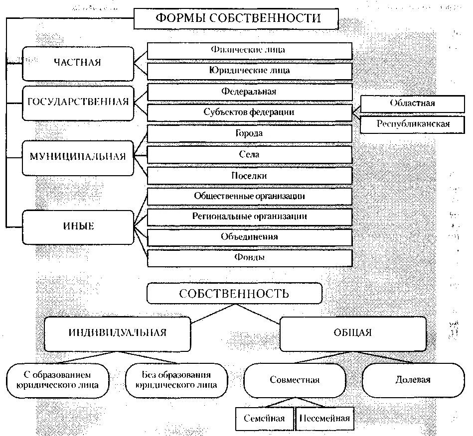 Владение форма собственности. Формы собственности и ее разновидности схема. Иные формы собственности в РФ. Формы собственности в РФ схема. Фиды форм собственности.