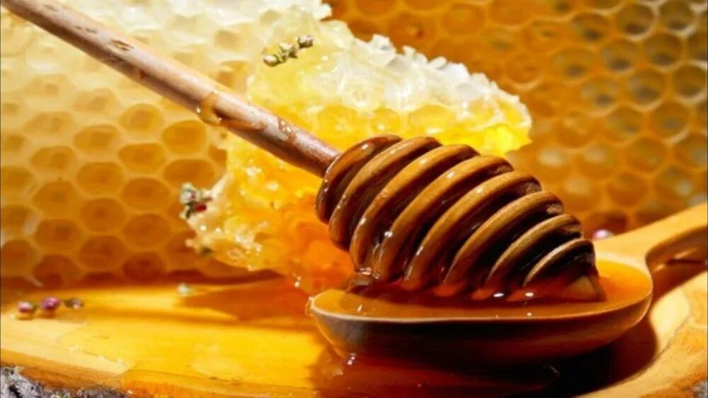 Включи honey. Мед. Соты меда. Мёд натуральный. Соты меда красивые.