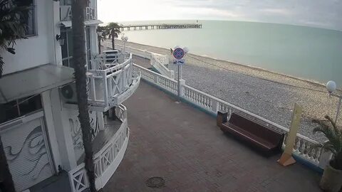 Лазаревское тополь камеры