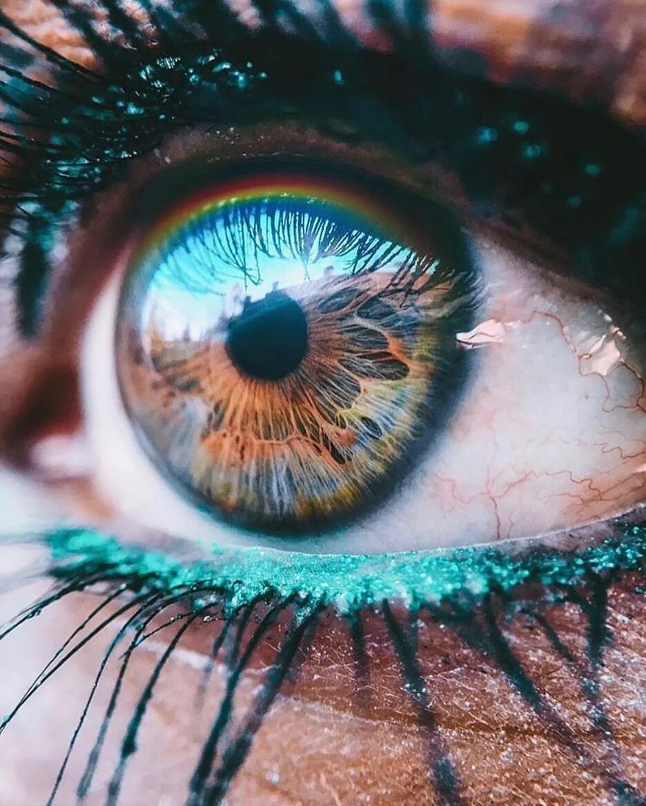 Зелёно-голубые глаза. Айшвария рай макияж глаз. Бирюзовые глаза. Какой цвет глаз красивее. Красивые глаза.