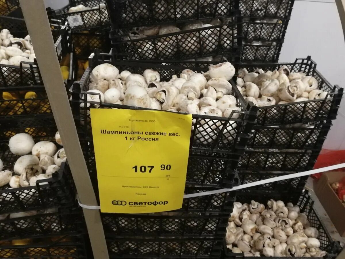 Сколько стоит 1 кг грибов