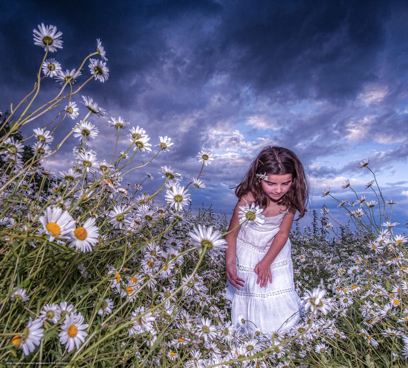 фото с ромашками девушки идеи для фото. детская фотосессия в мелких ромашках. красивый венок из ромашек. девочка в ромашках. песня девочка милашка а в глазах ромашки.