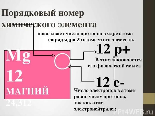 Элемент номер 24. Порядковый номер элемента. Порядковый номер магния в таблице Менделеева. Магний номер элемента. Порядковый номер элемента определяет.