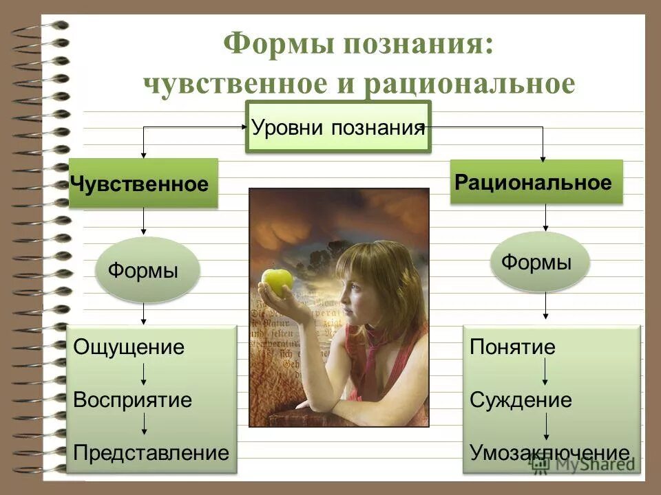 Рациональное познание осуществляется в формах. Рациональное познание осуществляется в формах