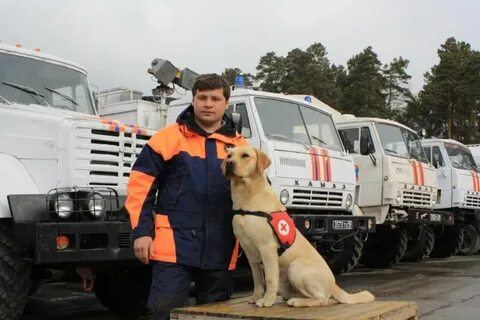 Профессия служба