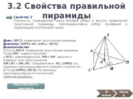 Правильная пирамида свойства основания