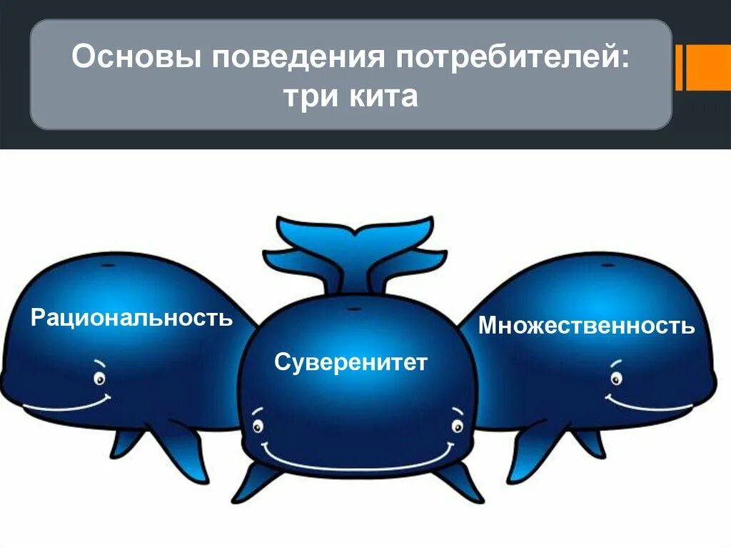 3 кита про кита. Три кита. С-три Китс. Три кита обучения. Три кита основа.