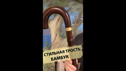 Бамбуковая трость
